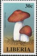 Colnect-3120-038-Russula-cyanoxantha.jpg