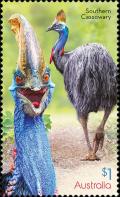 Colnect-5806-493-Southern-Cassowary-Casuarius-casuarius.jpg