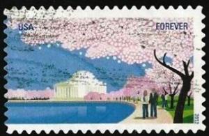 Colnect-1699-538-Cherry-Blossoms---Jefferson-Memorial.jpg