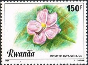 Colnect-2706-164-Dissotis-rwandensis.jpg