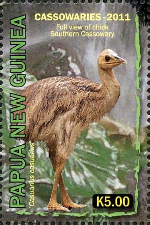 Colnect-2937-133-Southern-Cassowary-Casuarius-casuarius.jpg