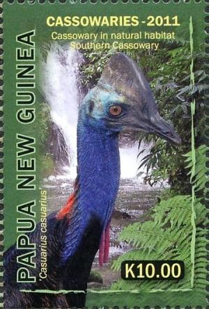 Colnect-2937-134-Southern-Cassowary-Casuarius-casuarius.jpg