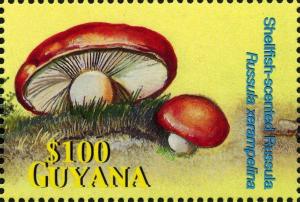 Colnect-3134-303-Russula-xerampelina.jpg