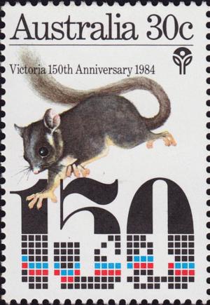 Colnect-3572-246-Leadbeater-s-Possum-Gymnobelideus-leadbeateri.jpg