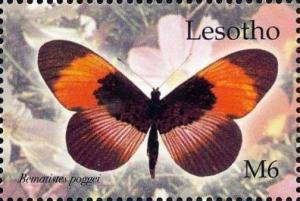 Colnect-4745-494-Common-Glassy-Acraea-Acraea-quirina.jpg