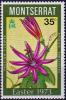 Colnect-3924-348-Passiflora-vitifolia.jpg