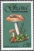 Colnect-2389-596-Russula-Cyanoxantha.jpg