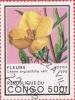 Colnect-1285-081-Cassia-angustifolia.jpg