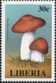 Colnect-3120-038-Russula-cyanoxantha.jpg