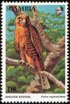 Colnect-1462-518-Greater-Kestrel%C2%A0Falco-rupicoloides.jpg