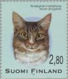 Colnect-160-321-Norwegian-Forest-Cat-Felis-silvestris-catus.jpg