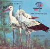 Colnect-1613-185-White-Stork-Ciconia-ciconia.jpg