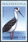 Colnect-1631-358-Black-winged-Stilt%C2%A0Himantopus-himantopus.jpg