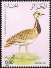 Colnect-1650-677-Houbara-Bustard-Chlamydotis-undulata.jpg