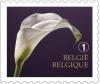 Colnect-1777-865-Mourning-Stamp---Left-imperforate.jpg