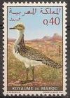 Colnect-1894-819-Houbara-Bustard-Chlamydotis-undulata.jpg