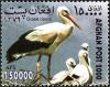 Colnect-2224-346-White-Stork-Ciconia-ciconia.jpg