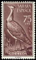 Colnect-1396-722-Houbara-Bustard-Chlamydotis-undulata.jpg