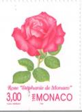 Colnect-149-802-Rose---Stephanie-de-Monaco--.jpg