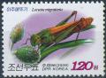 Colnect-3316-711-Migratory-locust-Locusta-migratoria---Grass.jpg