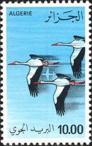 Colnect-1650-674-White-Stork-Ciconia-ciconia.jpg