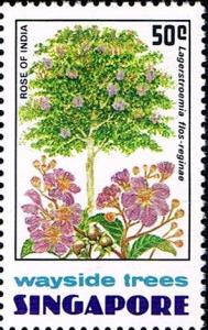 Colnect-2344-411-Lagerstroemia-flos-reginae.jpg