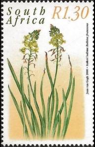 Colnect-3057-148-Stalked-bulbine.jpg