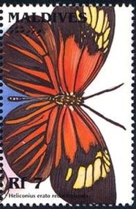 Colnect-2371-674-Red-Postman-Heliconius-erato.jpg