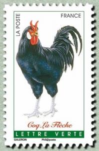 Colnect-3148-424-La-Fleche-Rooster-Gallus-gallus-domesticus.jpg