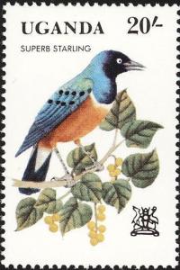 Colnect-1712-364-Superb-Starling-Spreo-superbus.jpg