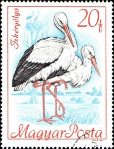 Colnect-5281-828-White-Stork-Ciconia-ciconia.jpg