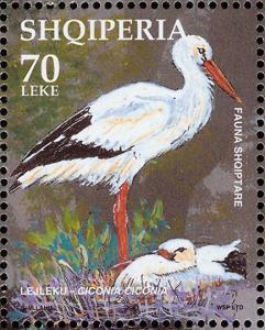 Colnect-1156-586-White-Stork%C2%A0Ciconia-ciconia.jpg