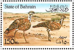 Colnect-1463-295-Houbara-Bustard-Chlamydotis-undulata.jpg