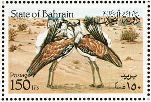 Colnect-1463-399-Houbara-Bustard-Chlamydotis-undulata.jpg