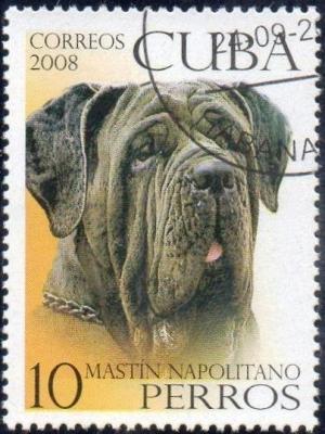 Colnect-1646-540-Neapolitan-Mastiff-Canis-lupus-familiaris.jpg