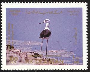 Colnect-1646-645-Black-winged-Stilt%C2%A0Himantopus-himantopus.jpg