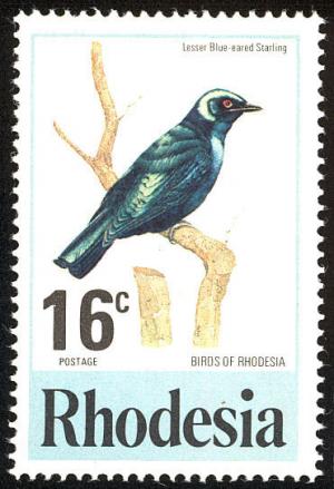 Colnect-2130-953-Lesser-Blue-eared-Starling-Lamprotornis-chloropterus.jpg