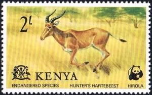 Colnect-2613-784-Hartebeest-Alcelaphus-buselaphus.jpg