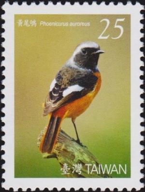 Colnect-3067-350-Daurian-Redstart-Phoenicurus-auroreus.jpg