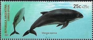 Colnect-3348-263-Pro-Philately---Burmeister-s-Porpoise-Phocoena-spinipim%C3%ACnni.jpg