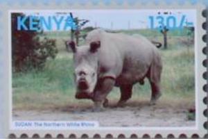 Colnect-4976-644-The-Last-of-the-White-Rhinos.jpg