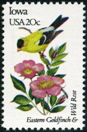 Colnect-5097-013-Iowa---Eastern-Goldfinch-Wild-Rose.jpg