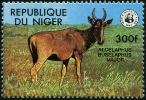 Colnect-5337-475-Western-Hartebeest-Alcelaphus-buselaphus-major-.jpg