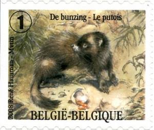 Colnect-576-045-European-Polecat-Mustela-putorius---left-imperforate.jpg