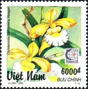 Colnect-5876-938-Christensonia-vietnamica.jpg