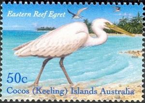 Colnect-746-783-Eastern-reef-egret.jpg