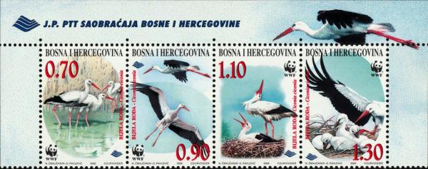 Colnect-6627-130-White-Stork-Ciconia-ciconia.jpg