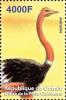 Colnect-3813-950-Common-Ostrich-Struthio-camelus.jpg