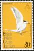 Colnect-1544-484-Greater-Crested-Tern-Thalasseus-bergii.jpg