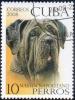 Colnect-1646-540-Neapolitan-Mastiff-Canis-lupus-familiaris.jpg